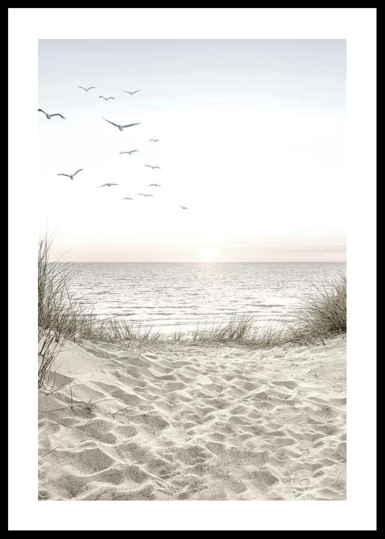 Bright beach with dunes, ocean, seabirds and sunrise-12