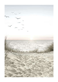 Bright beach with dunes, ocean, seabirds and sunrise-1