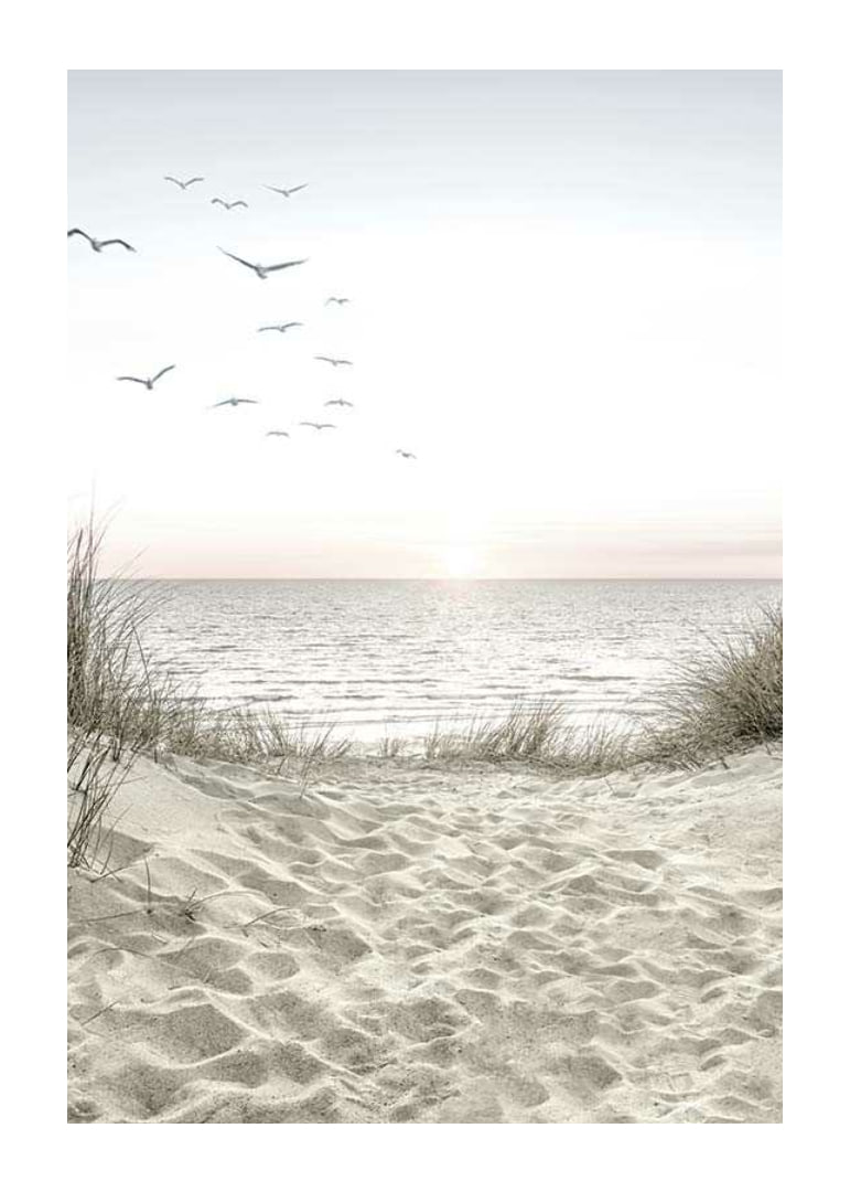 Bright beach with dunes, ocean, seabirds and sunrise-12