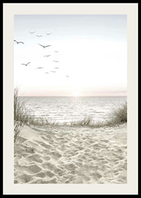 Bright beach with dunes, ocean, seabirds and sunrise-2