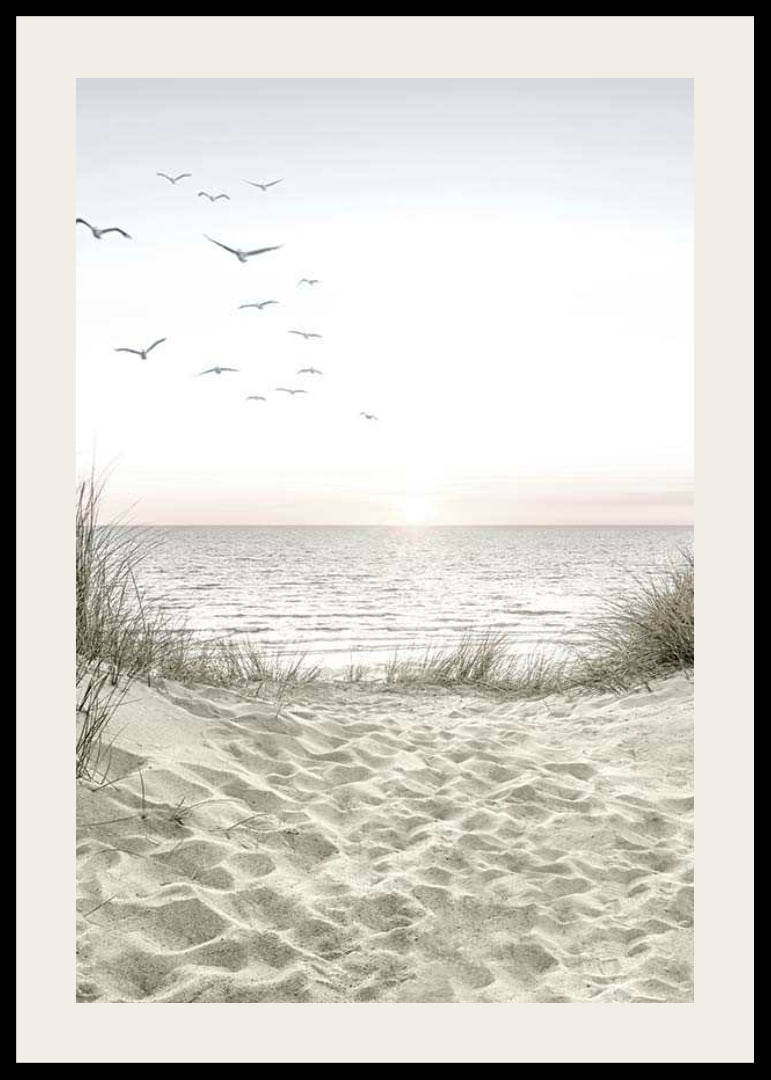 Bright beach with dunes, ocean, seabirds and sunrise-12