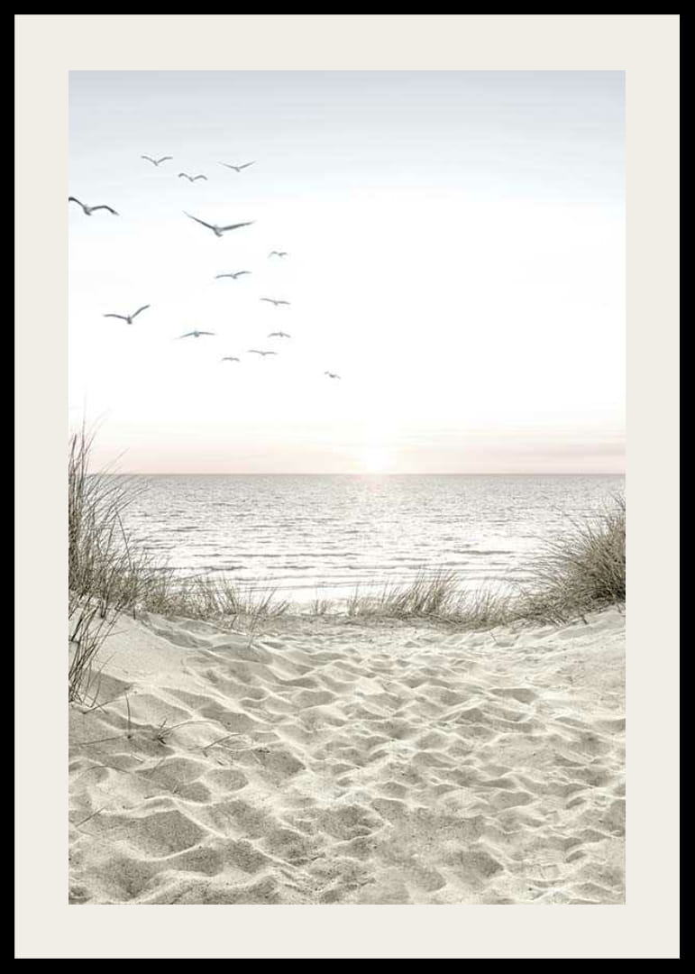 Ljus strand med sanddyner, hav, sjöfåglar och soluppgång-12