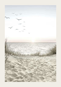 Bright beach with dunes, ocean, seabirds and sunrise-3