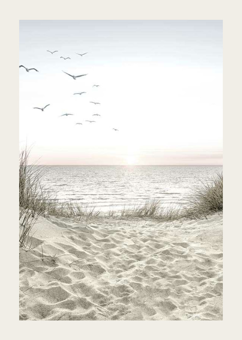 Bright beach with dunes, ocean, seabirds and sunrise-12