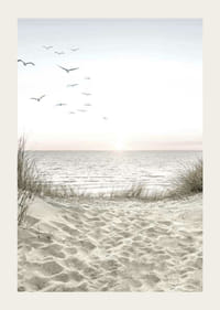 Ljus strand med sanddyner, hav, sjöfåglar och soluppgång-3