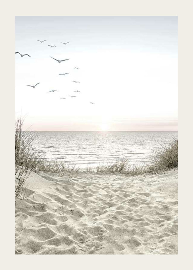 Ljus strand med sanddyner, hav, sjöfåglar och soluppgång-12