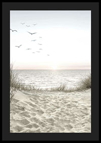Bright beach with dunes, ocean, seabirds and sunrise-4