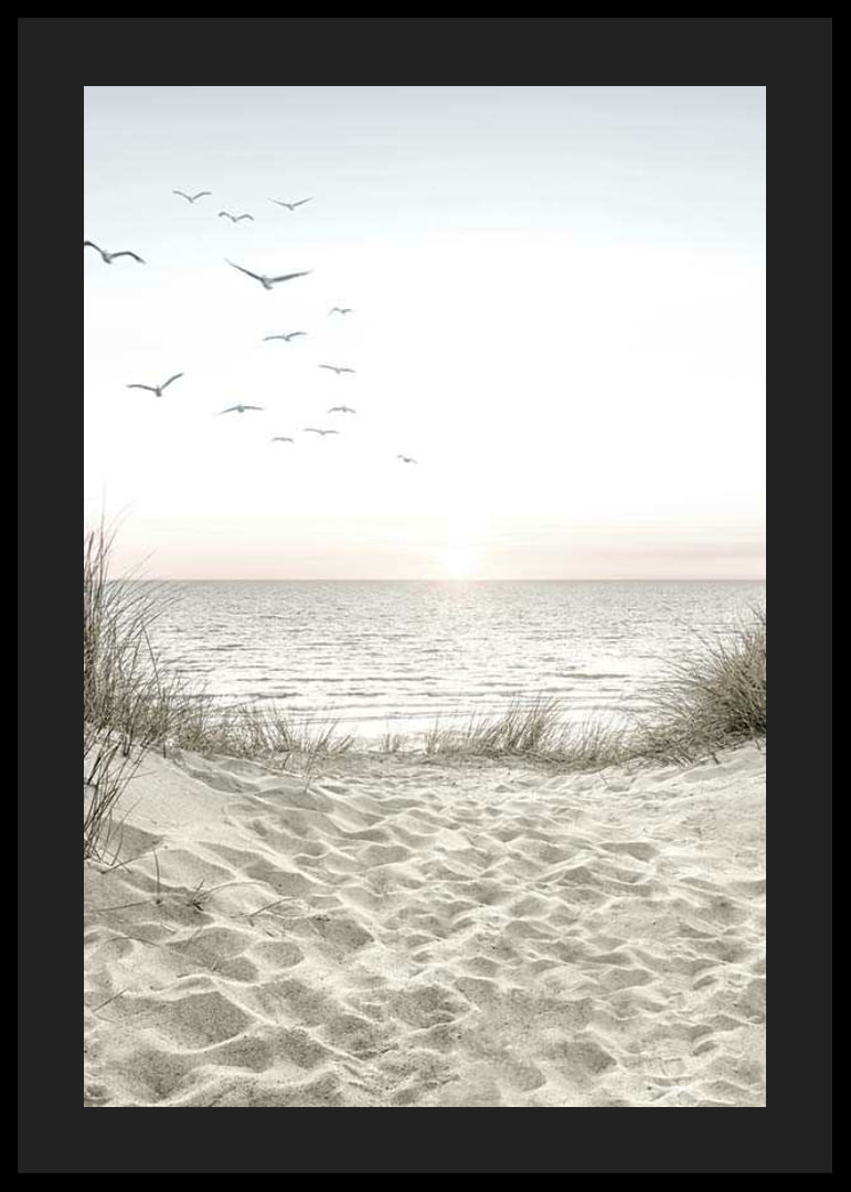 Bright beach with dunes, ocean, seabirds and sunrise-12