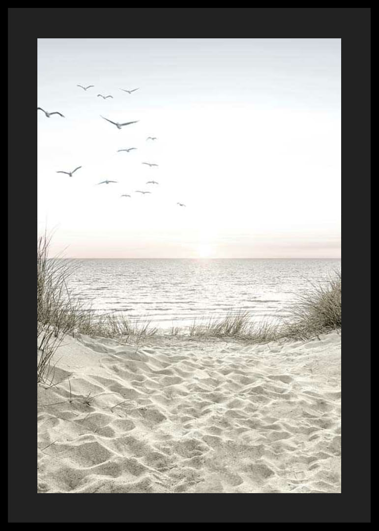 Ljus strand med sanddyner, hav, sjöfåglar och soluppgång-12