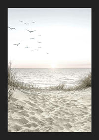 Bright beach with dunes, ocean, seabirds and sunrise-5