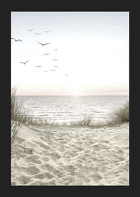 Ljus strand med sanddyner, hav, sjöfåglar och soluppgång-5