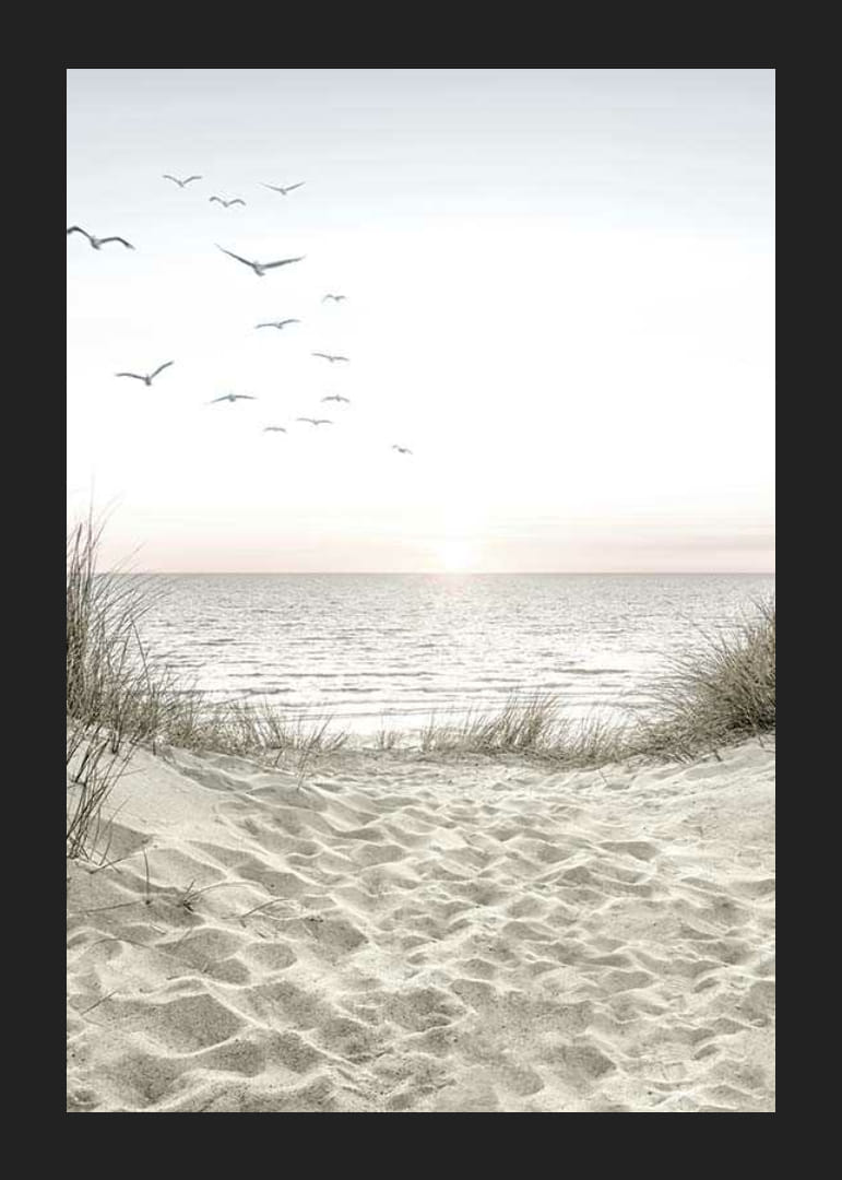 Ljus strand med sanddyner, hav, sjöfåglar och soluppgång-12