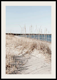 Fotografi av sandstrand med tørket strandgress og blått hav-2