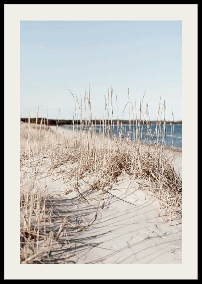Fotografi av sandstrand med tørket strandgress og blått hav-12
