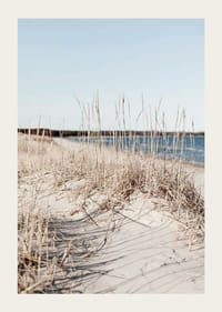 Fotografi av sandstrand med tørket strandgress og blått hav-3