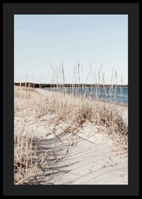 Fotografi av sandstrand med tørket strandgress og blått hav-4