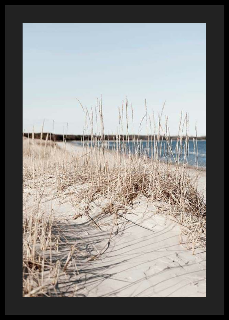 Fotografi av sandstrand med tørket strandgress og blått hav-12