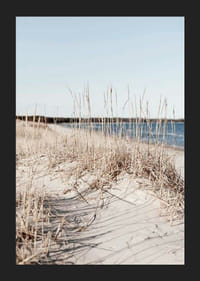 Fotografi av sandstrand med tørket strandgress og blått hav-5