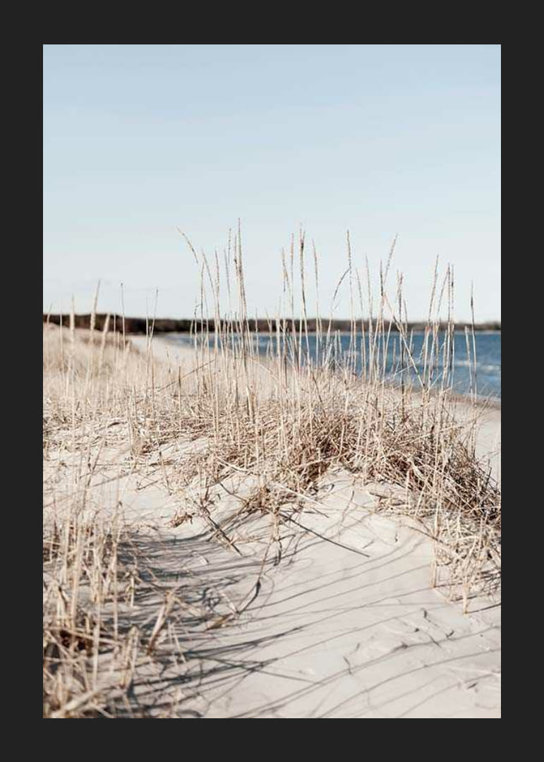 Fotografi av sandstrand med tørket strandgress og blått hav-12