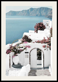 White houses with pink bougainvillea by the sea in Santorini-2