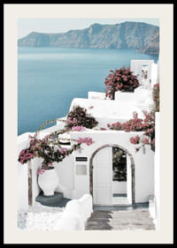 Biele domy s ružovou bugenvíliou pri mori na Santorini-2