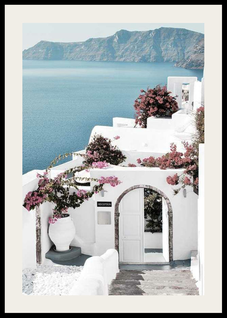 Biele domy s ružovou bugenvíliou pri mori na Santorini-12