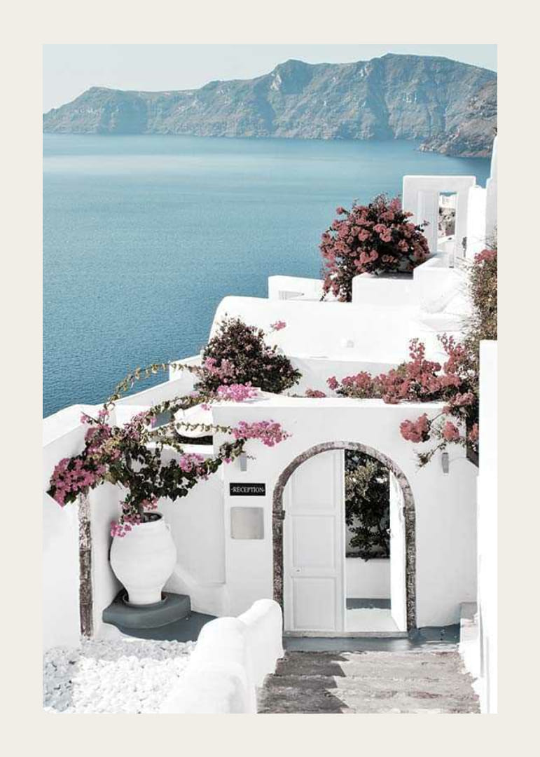Biele domy s ružovou bugenvíliou pri mori na Santorini-12