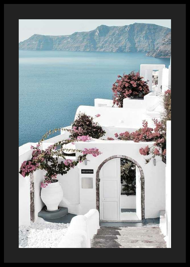 Biele domy s ružovou bugenvíliou pri mori na Santorini-12