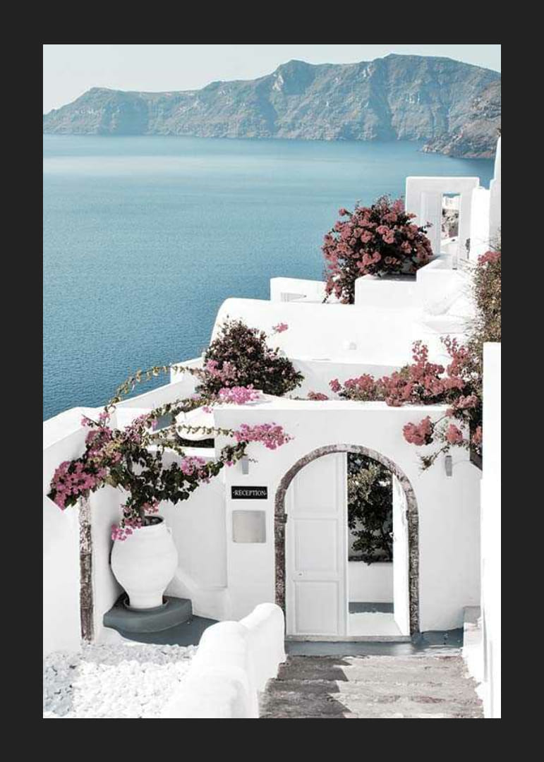 Biele domy s ružovou bugenvíliou pri mori na Santorini-12