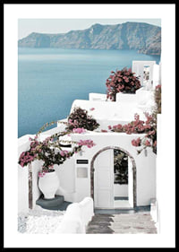 White houses with pink bougainvillea by the sea in Santorini-0