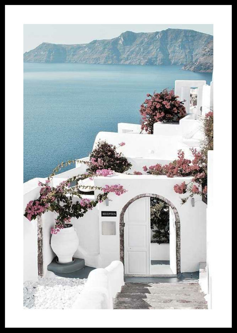 White houses with pink bougainvillea by the sea in Santorini-12