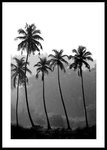 Poster Palms