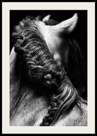 Black and white close-up of a horse's mane braided against a dark background-2