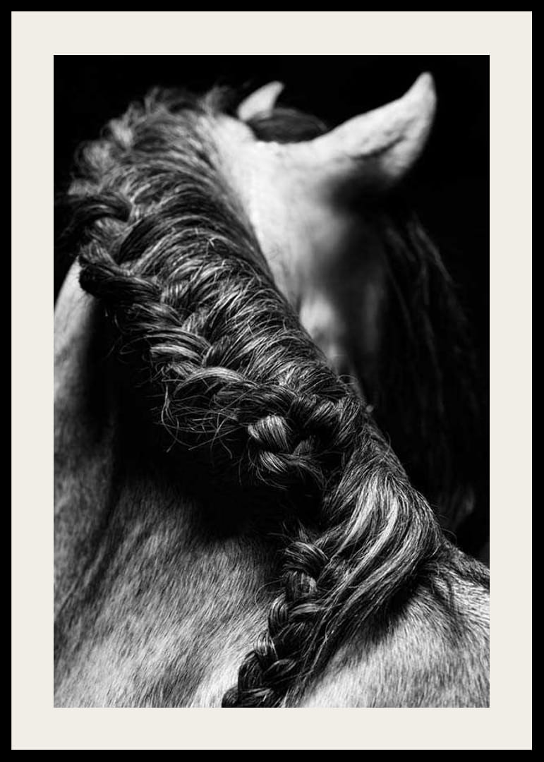 Black and white close-up of a horse's mane braided against a dark background-12