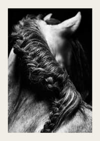 Black and white close-up of a horse's mane braided against a dark background-3