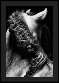 Black and white close-up of a horse's mane braided against a dark background-4
