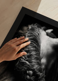 Primo piano in bianco e nero della criniera di un cavallo intrecciata su uno sfondo scuro-9