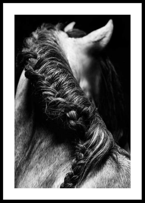 Horse Mane-12