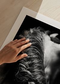 Horse Mane-5