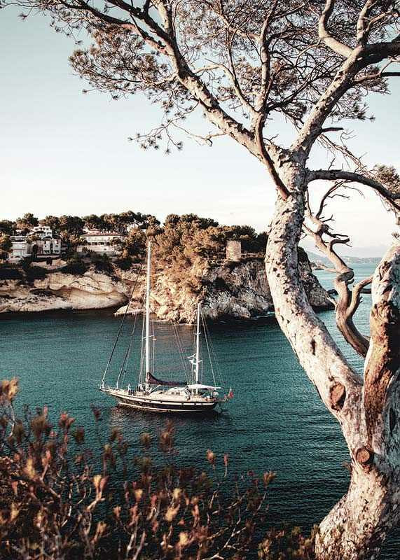 Photograph of sailboat in blue bay with cliffs and pine trees-12