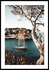 Photograph of sailboat in blue bay with cliffs and pine trees-0