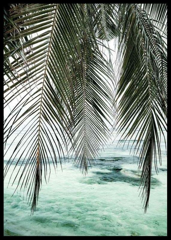 Palm Curtain-12