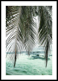 Palm Curtain-0