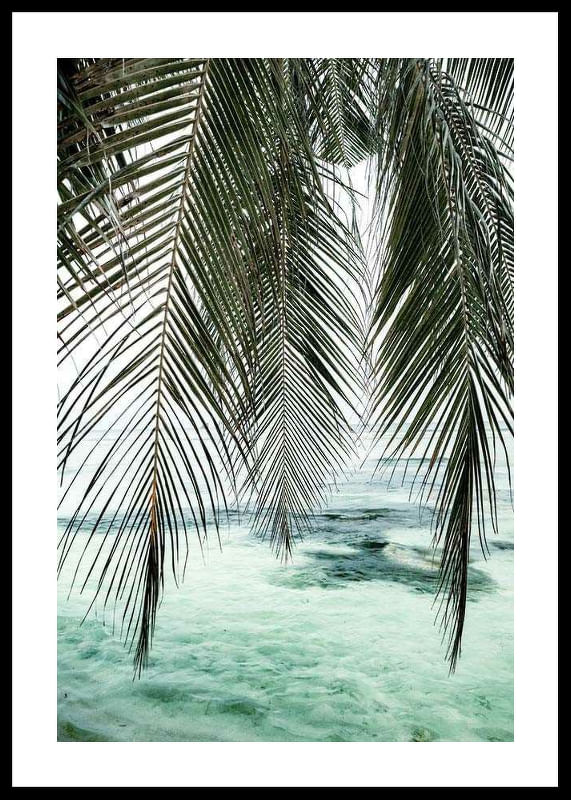Palm Curtain-12