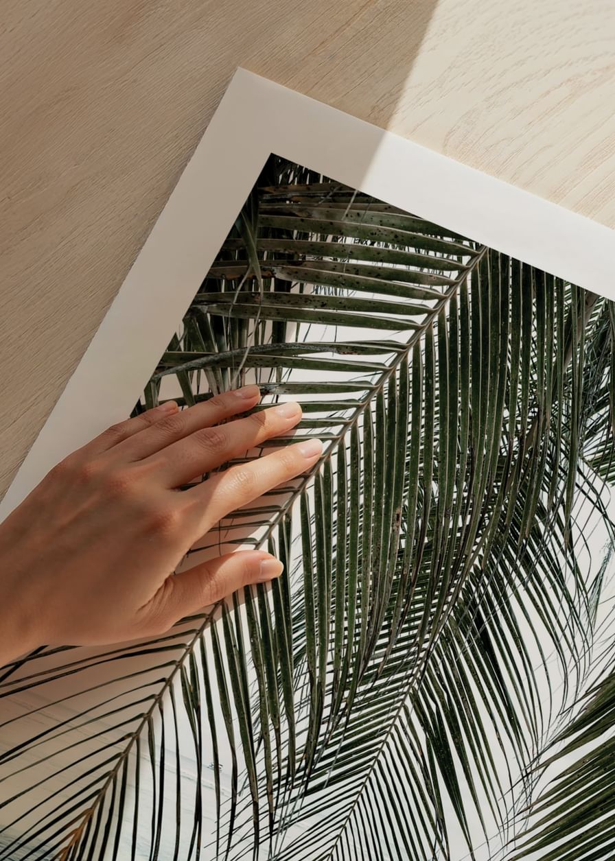 Palm Curtain-12