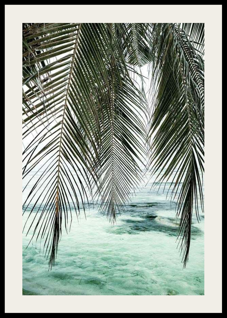 Fotografi av hängande palmblad över turkost havsvatten-12