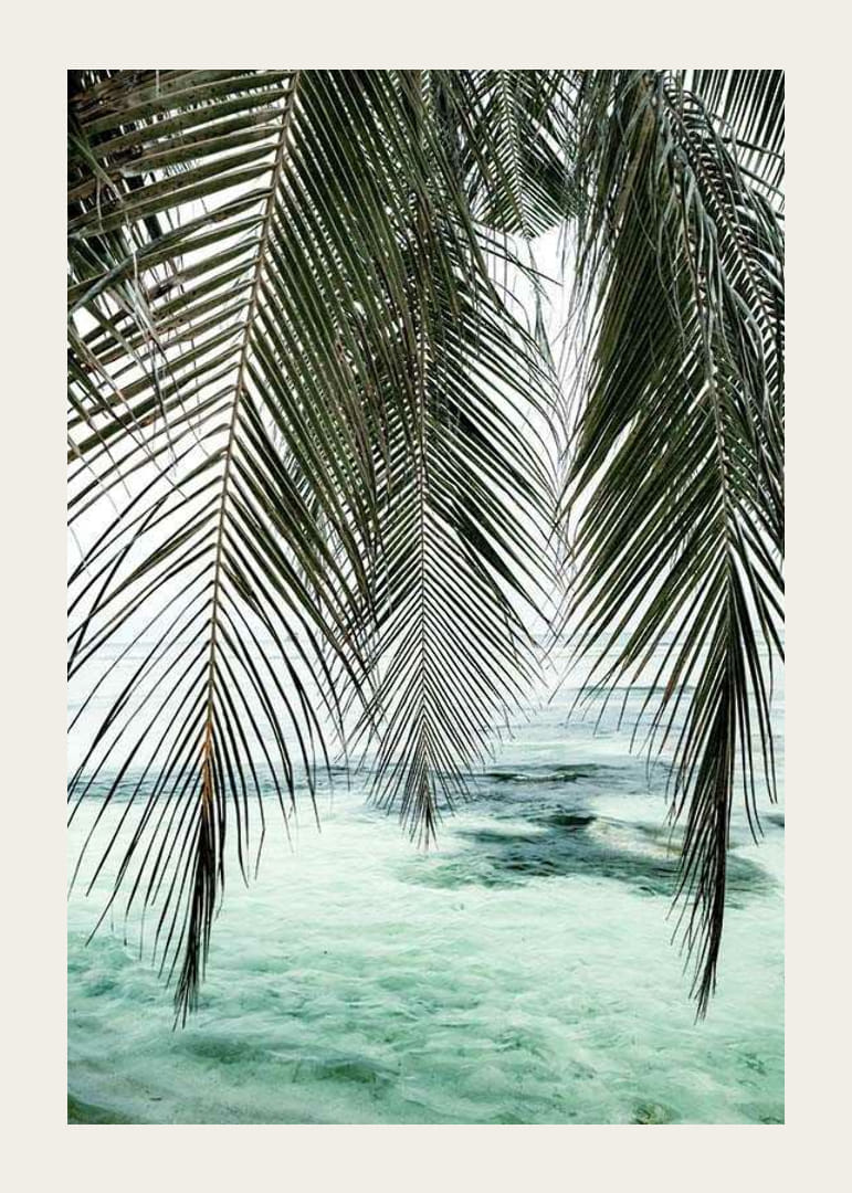 Fotografi av hängande palmblad över turkost havsvatten-12