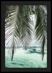 Fotografi av hängande palmblad över turkost havsvatten-4