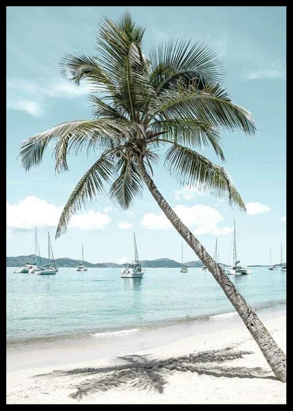 Photograph of leaning palm tree at sandy beach with sailboats-12