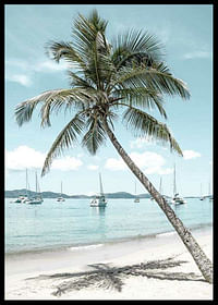 Leaning Palm No2-2